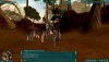 screenShot0036.jpg
