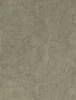 wall texture.png