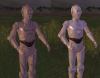 unknown.png